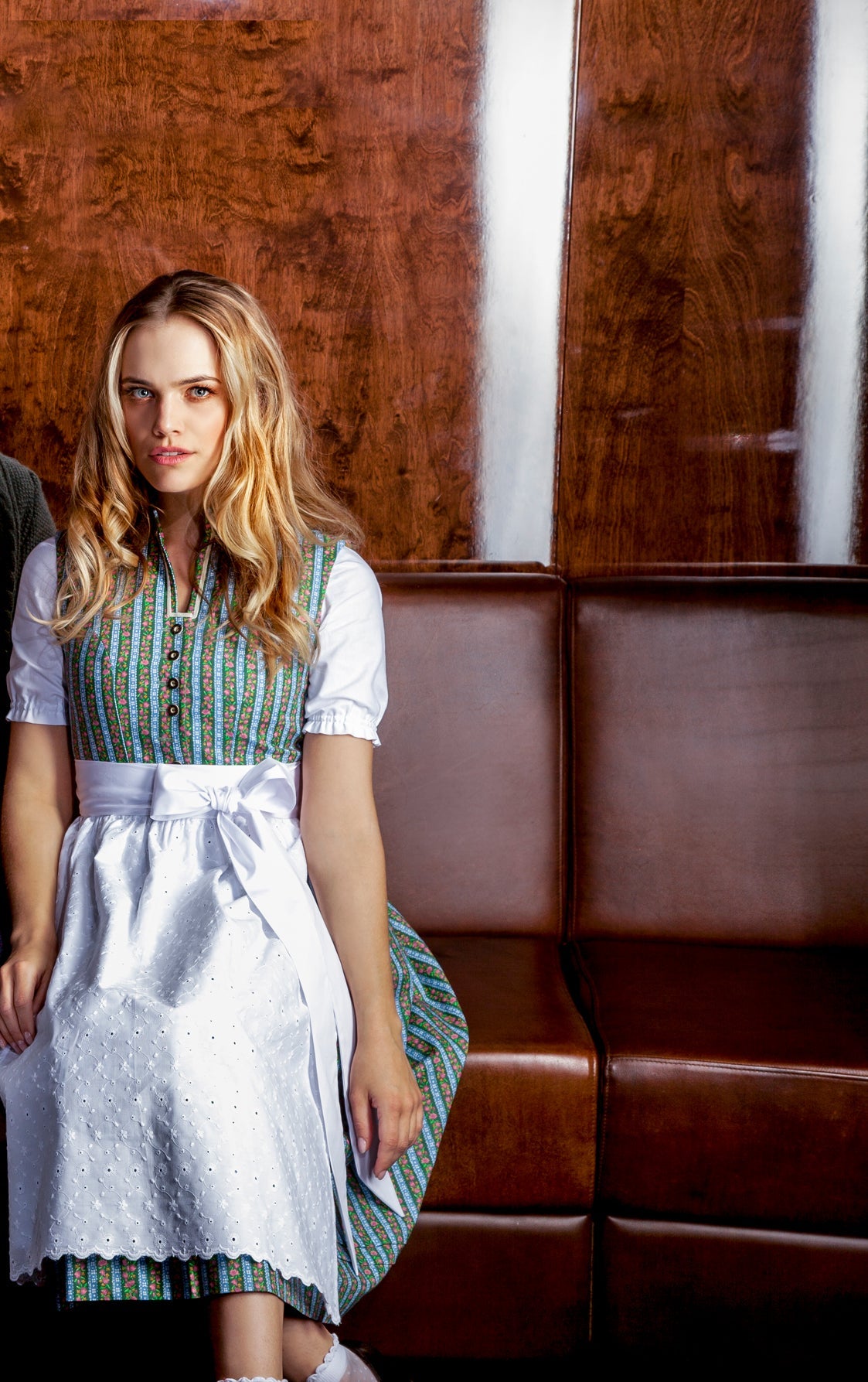 BW DIRNDL VINTAGE STEHKRAGEN STREIFEN FLORAL GRÜN - JAN&INA Trachten
