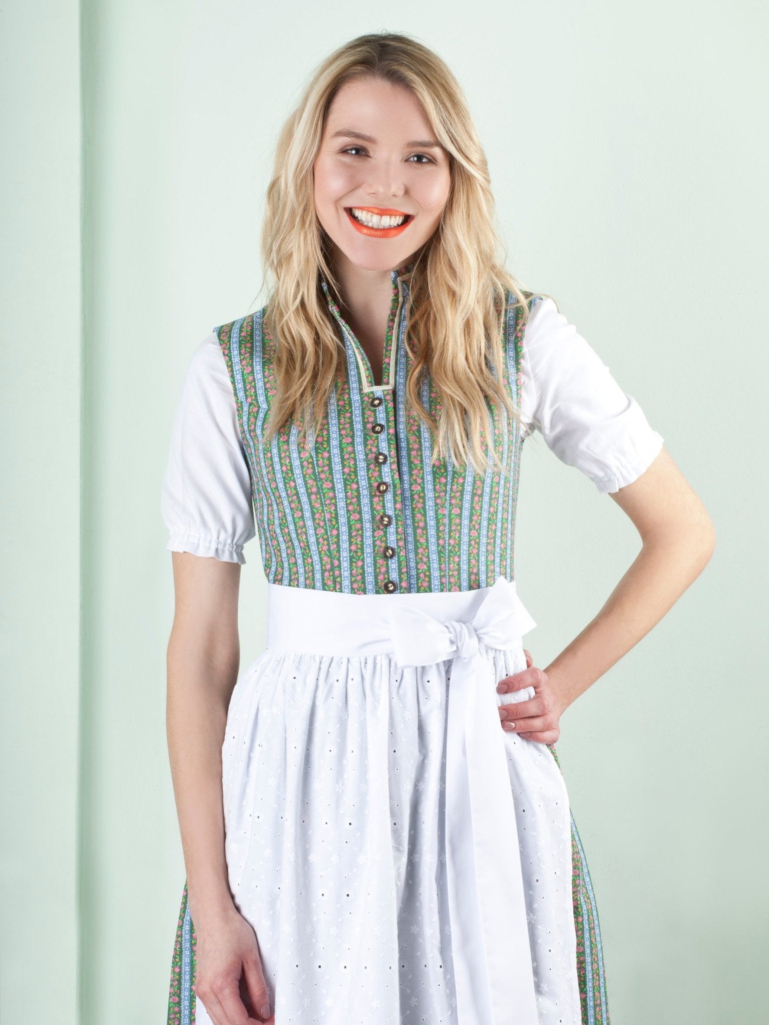 BW DIRNDL VINTAGE STEHKRAGEN STREIFEN FLORAL GRÜN - JAN&INA Trachten